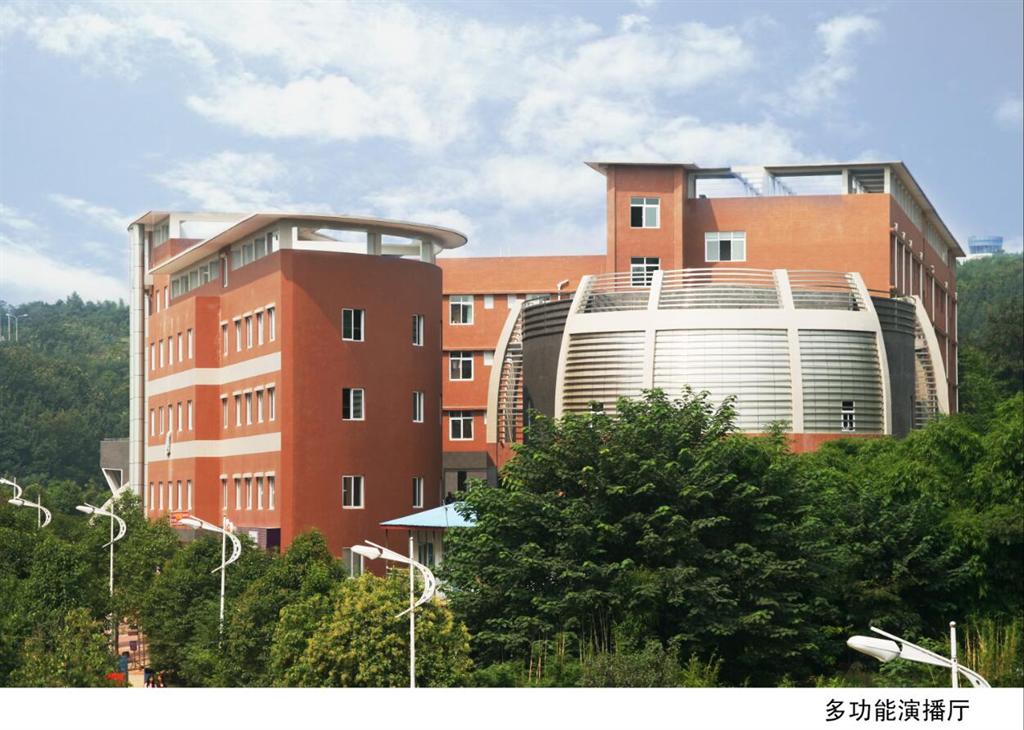 四川文化艺术学院简介